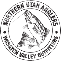 Half Day Guided Excursion - 1 Angler